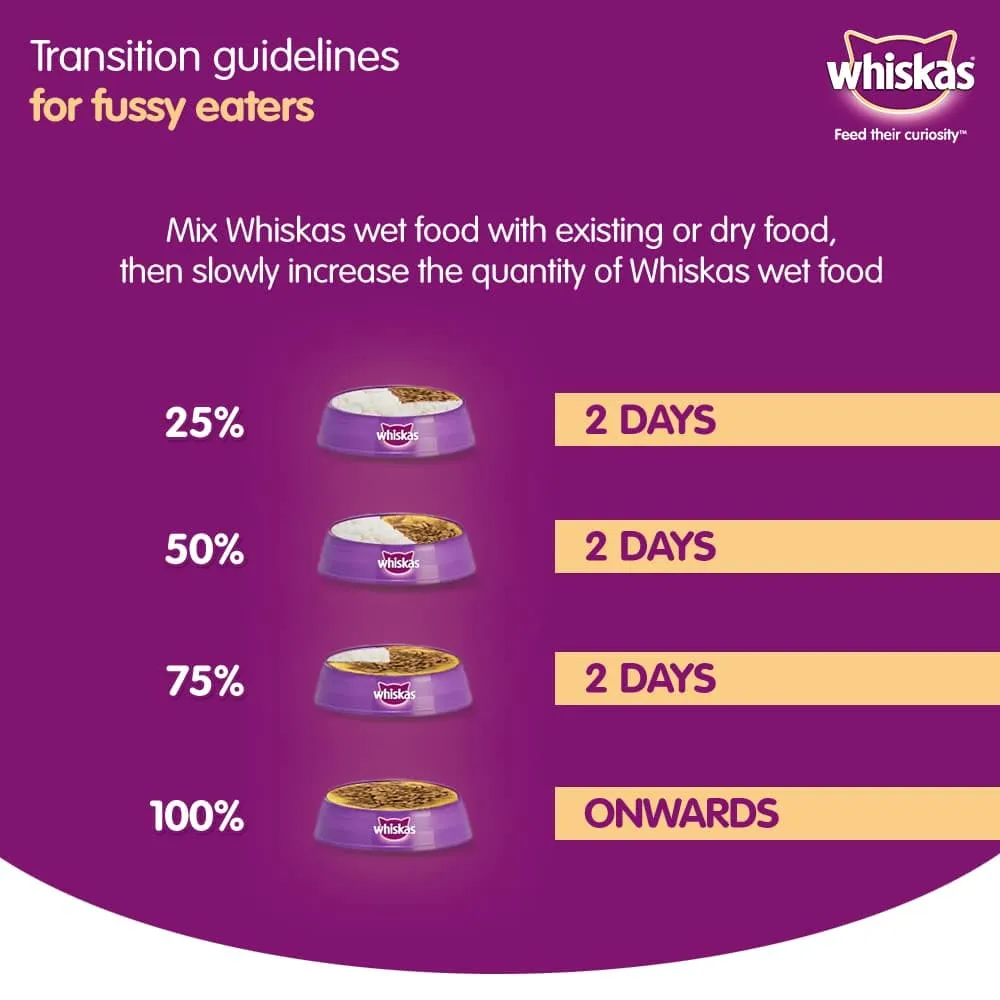 Whiskas Chicken in Gravy Meal Kitten Wet Food and Ocean Fish Kitten Dry Food Combo