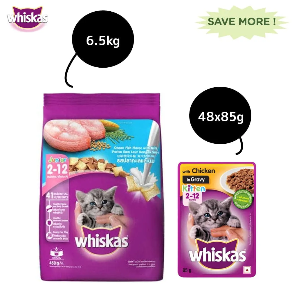 Whiskas Chicken in Gravy Meal Kitten Wet Food and Ocean Fish Kitten Dry Food Combo