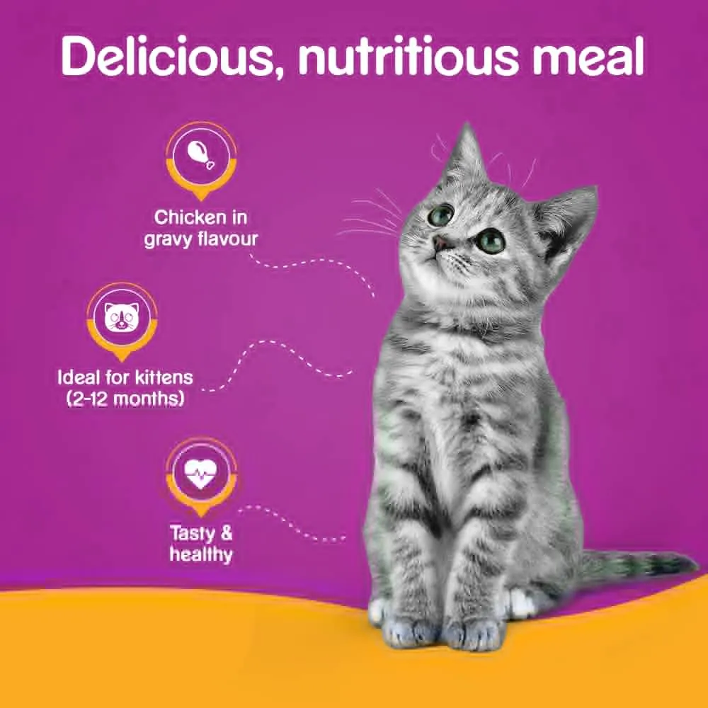Whiskas Chicken in Gravy Meal Kitten Wet Food and Ocean Fish Kitten Dry Food Combo
