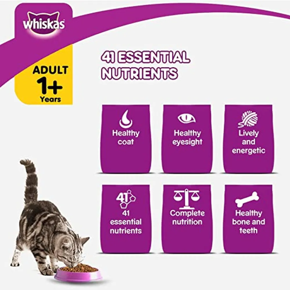 Whiskas Chicken, Ocean Fish and Tuna Flavour Adult Cat Dry Food Combo