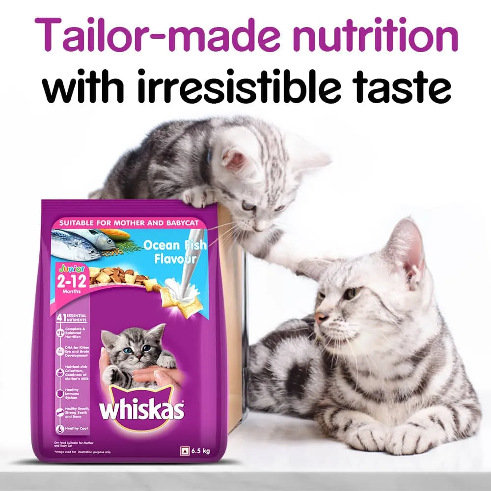Whiskas Ocean Fish and Tuna in Jelly Kitten Dry and Wet Food Combo