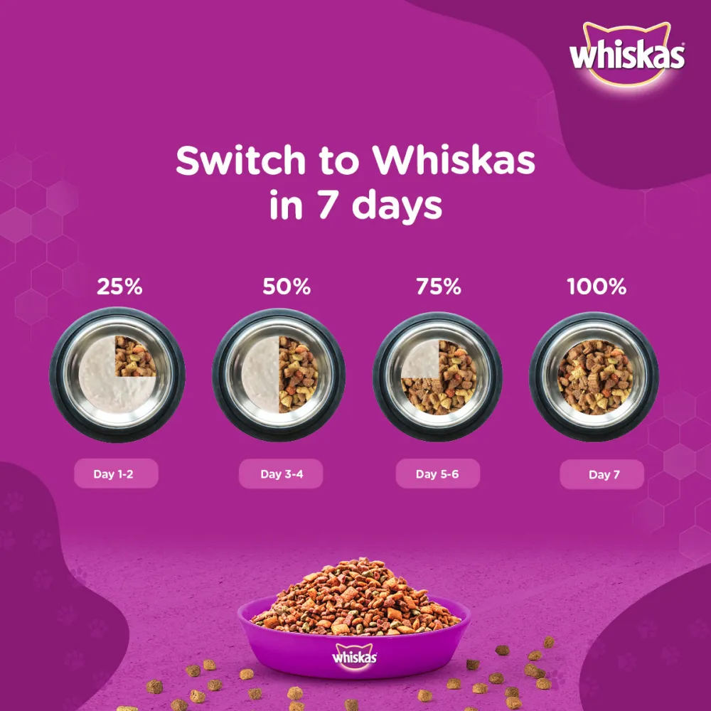 Whiskas Ocean Fish and Tuna in Jelly Kitten Dry and Wet Food Combo