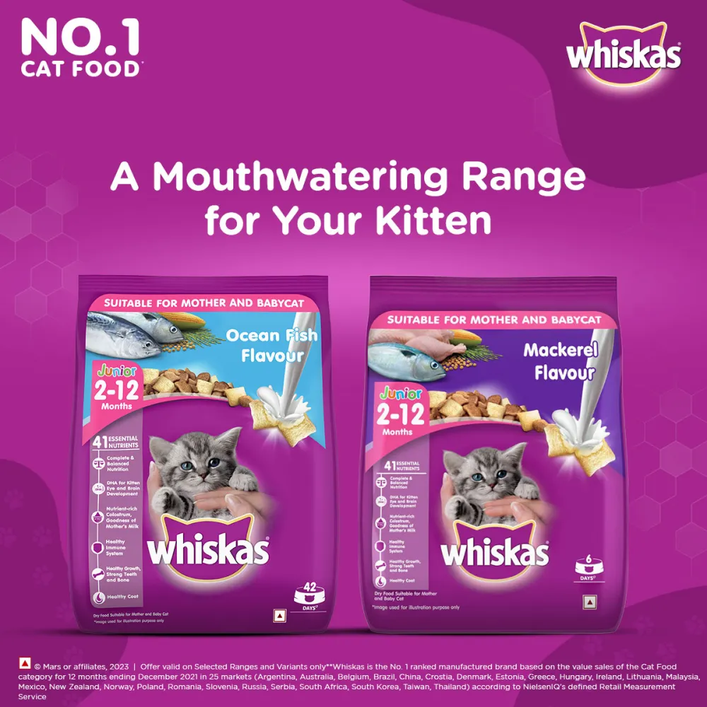 Whiskas Ocean Fish and Tuna in Jelly Kitten Dry and Wet Food Combo