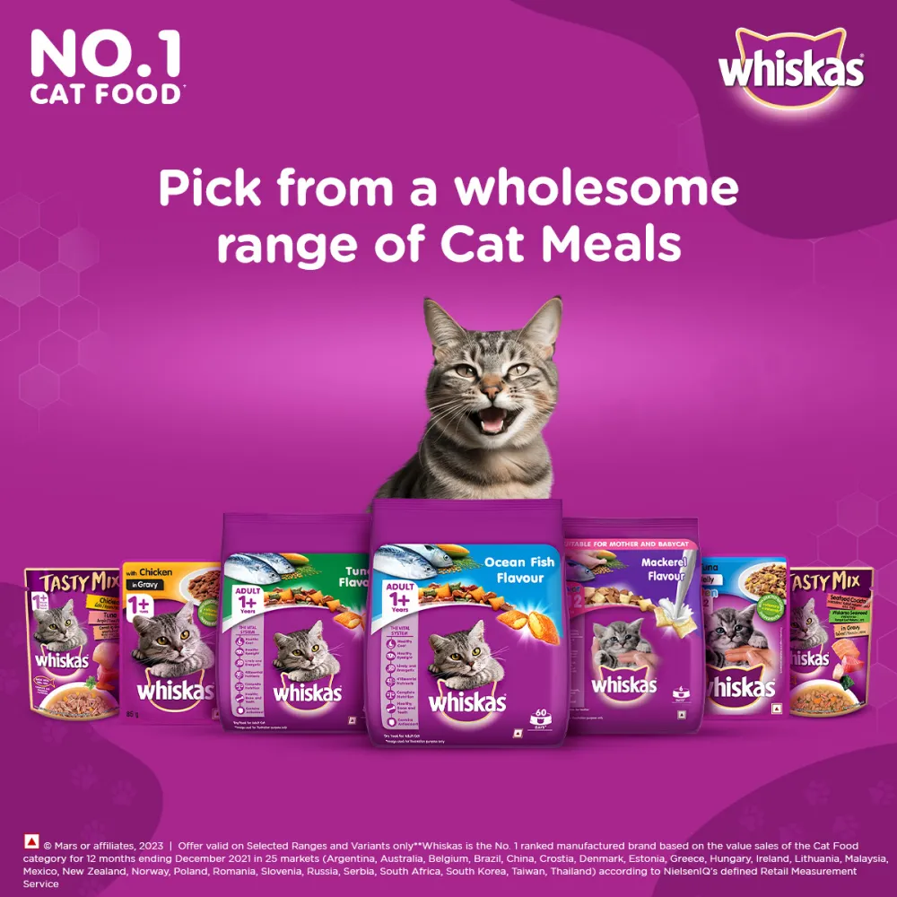 Whiskas Ocean Fish and Tuna in Jelly Meal Adult Cat Wet and Dry Food Combo