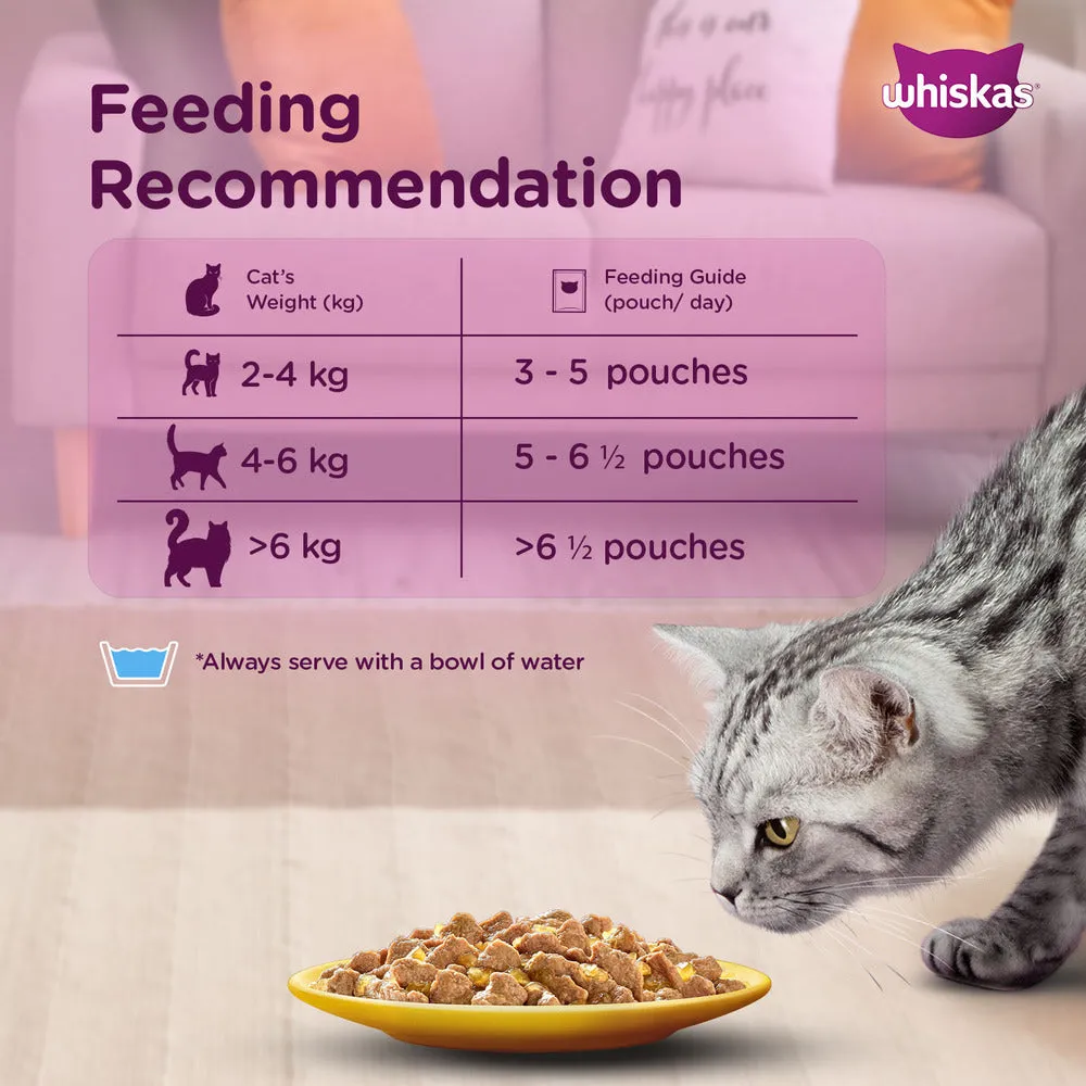 Whiskas Ocean Fish and Tuna in Jelly Meal Adult Cat Wet and Dry Food Combo