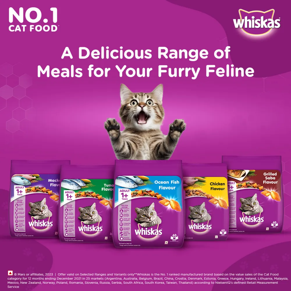 Whiskas Ocean Fish and Tuna in Jelly Meal Adult Cat Wet and Dry Food Combo