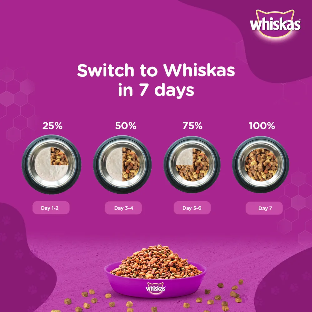 Whiskas Ocean Fish and Tuna in Jelly Meal Adult Cat Wet and Dry Food Combo