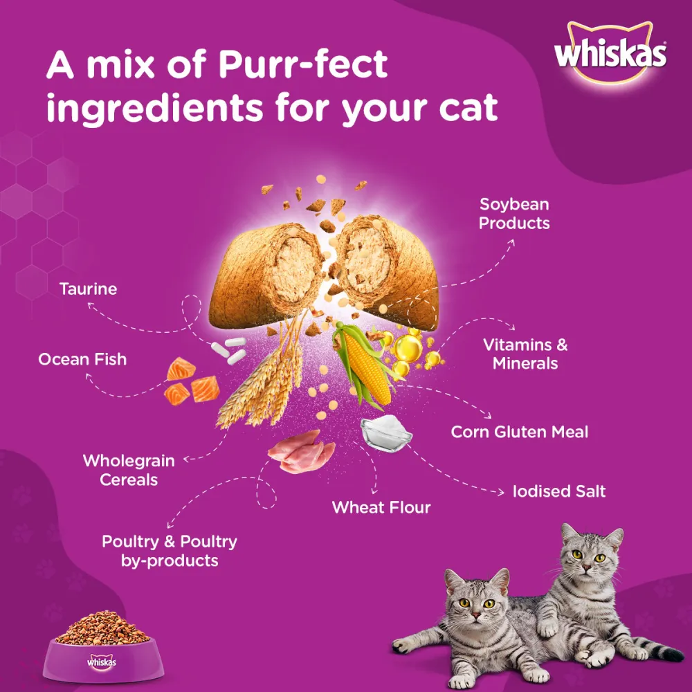 Whiskas Ocean Fish and Tuna in Jelly Meal Adult Cat Wet and Dry Food Combo