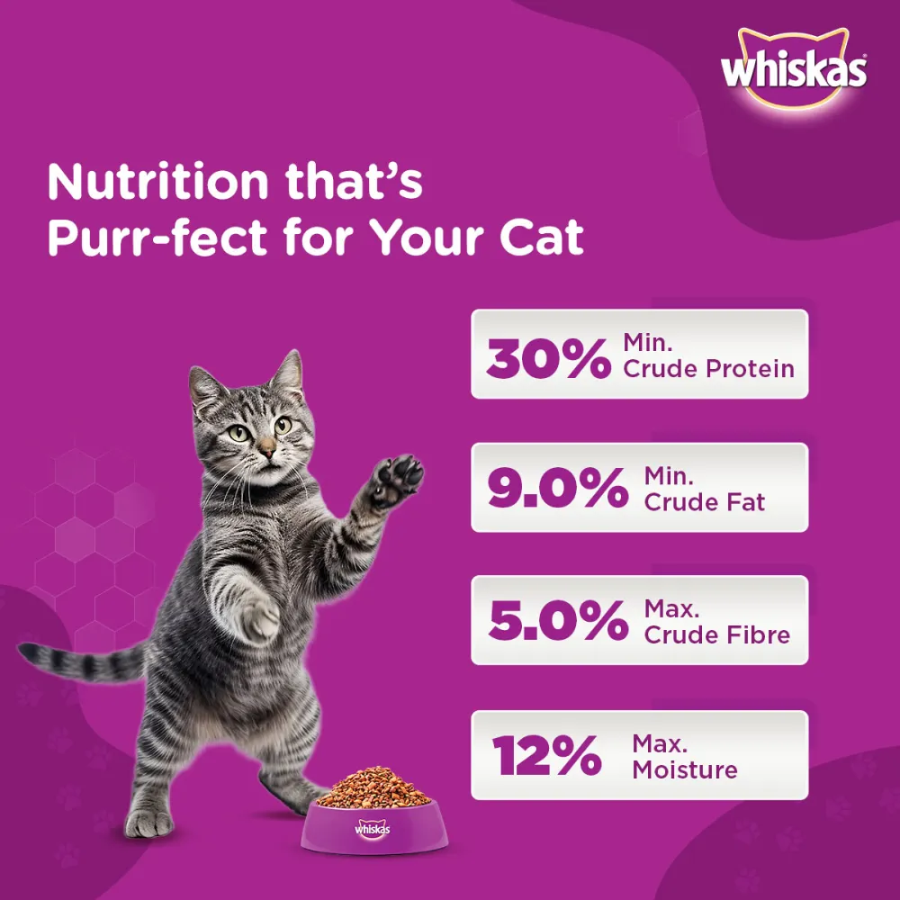 Whiskas Ocean Fish and Tuna in Jelly Meal Adult Cat Wet and Dry Food Combo