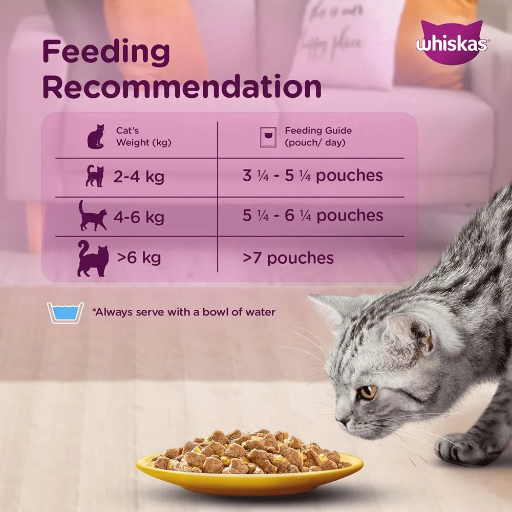 Whiskas Tuna in Jelly Meal and Chicken Gravy Adult Cat Wet Food Combo