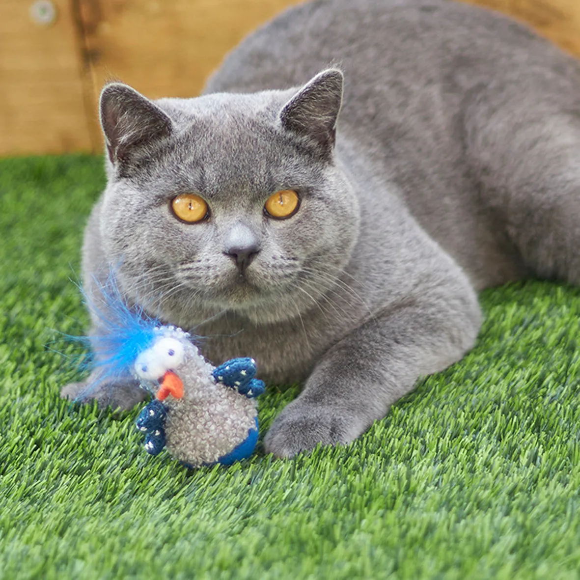 Wobble Duck cat toy