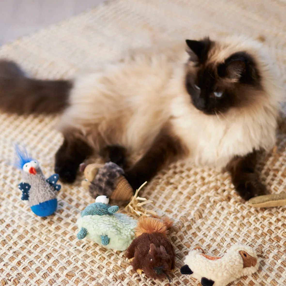 Wobble Duck cat toy